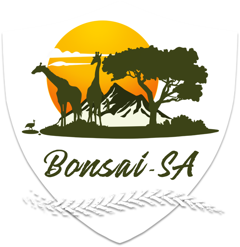 bonsai-sa 4x4 adventures & tours - logo footer