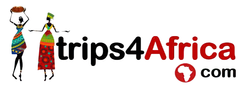 Trips4Africa logo